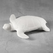 Load image into Gallery viewer, Sea Turtle
