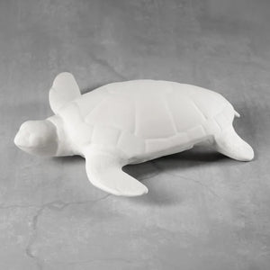 Sea Turtle