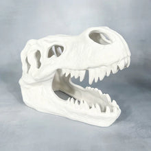 Load image into Gallery viewer, T-Rex Skull
