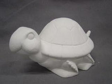 Load image into Gallery viewer, Cute Turtle
