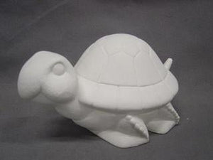 Cute Turtle