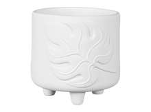 Load image into Gallery viewer, Monstera Footed Container
