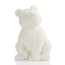 Load image into Gallery viewer, Bear Party Animal
