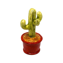 Load image into Gallery viewer, Cactus Succulent Pot
