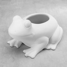 Load image into Gallery viewer, Frog Planter
