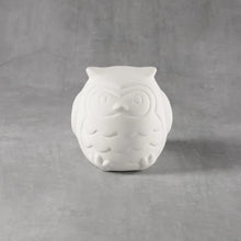 Load image into Gallery viewer, Little Owl
