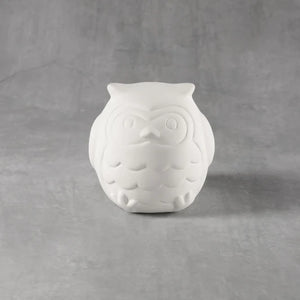 Little Owl