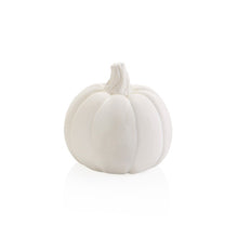 Load image into Gallery viewer, Pumpkin Party Animal
