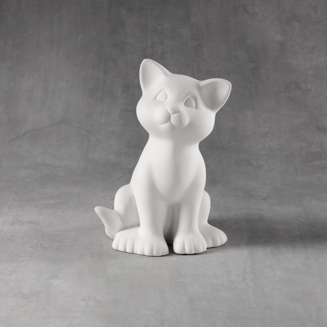 Sitting Kitty