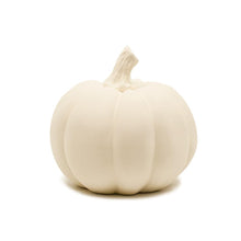 Load image into Gallery viewer, Small Round Pumpkin

