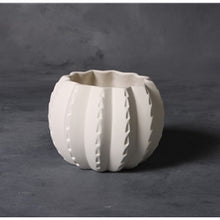 Load image into Gallery viewer, Barrel Cactus Planter
