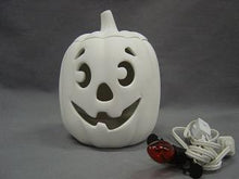 Load image into Gallery viewer, Lighted Pumpkin with Light Kit
