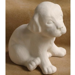 Sitting Puppy