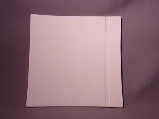 Asian Square Sushi Plate