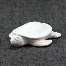 Load image into Gallery viewer, Little Baby Sea Turtle
