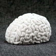 Load image into Gallery viewer, Brain Bank
