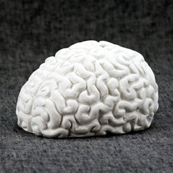 Brain Bank