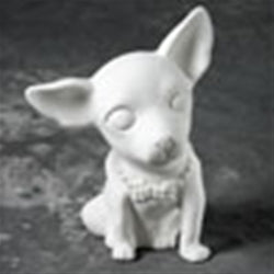 Brewser the Chihuahua 4.5x4