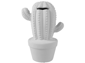 Cactus Bank