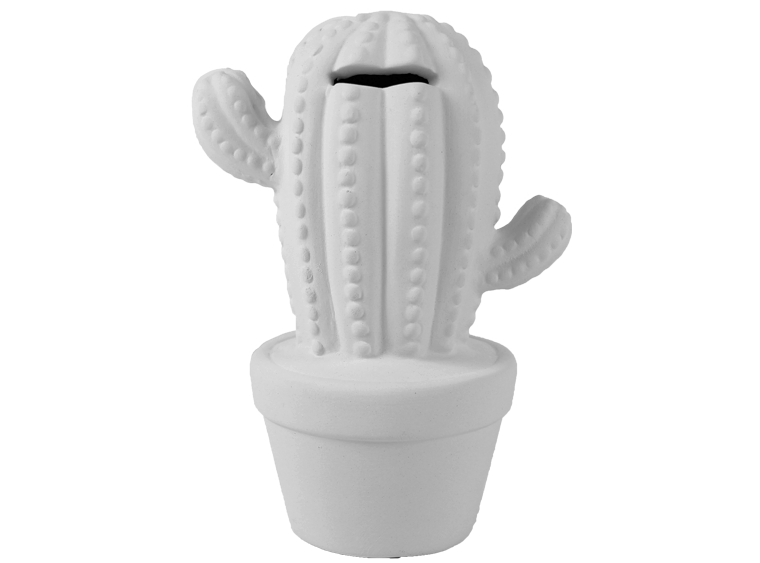 Cactus Bank