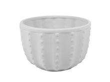 Load image into Gallery viewer, Cactus Bowl
