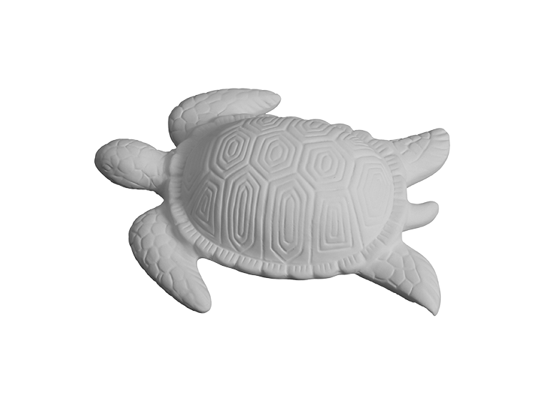 Contemporary Sea Turtle Plaque
