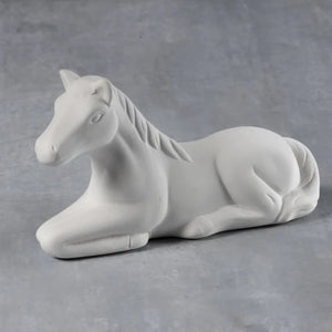 Cute Laying Horse