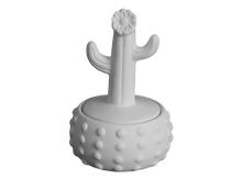 Load image into Gallery viewer, Floral Cactus Box
