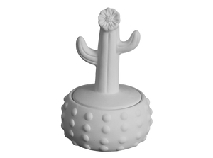 Floral Cactus Box