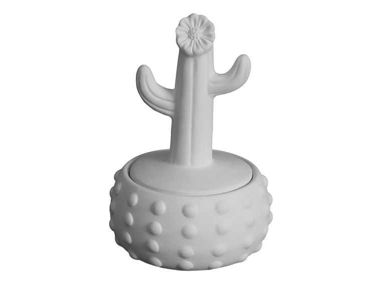 Floral Cactus Box