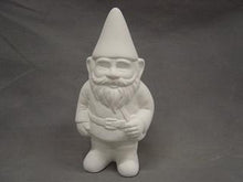 Load image into Gallery viewer, Gnome Jake

