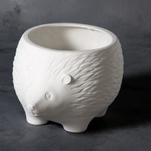 Load image into Gallery viewer, Hedgehog Planter - 7&quot;x7&quot;x9.5&quot;
