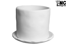 Load image into Gallery viewer, Homegrown Planter
