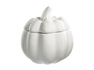 Pumpkin Container