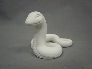 Rainforest Snake
