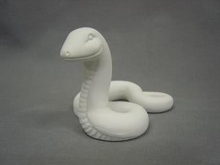 Rainforest Snake