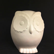 Load image into Gallery viewer, Screech Owl Bank
