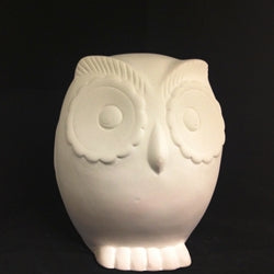 Screech Owl Bank