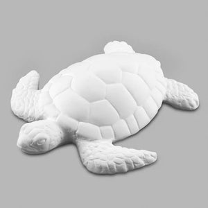 Sea Turtle