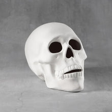 Load image into Gallery viewer, Skull
