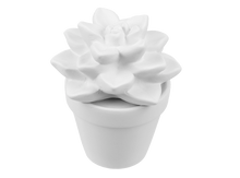 Load image into Gallery viewer, Sweet Succulent
