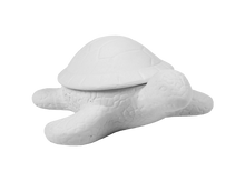 Load image into Gallery viewer, Turtle Box

